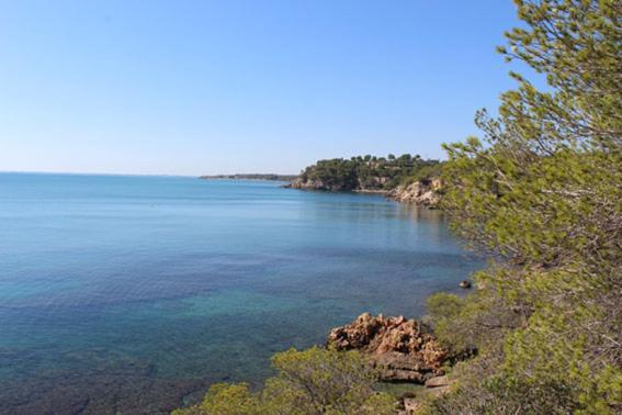 Casita De Pescadores Con Vista Al Puerto Lejlighed L'Ametlla de Mar Eksteriør billede