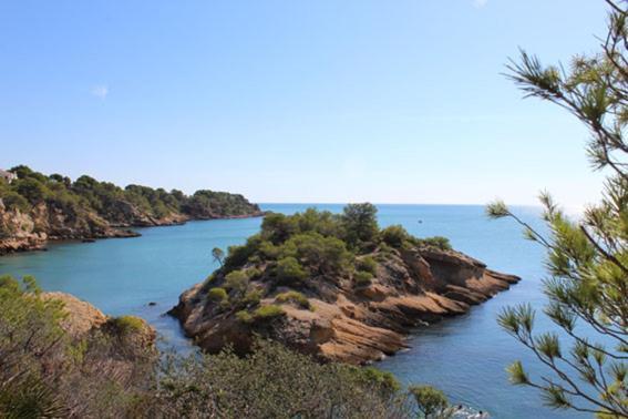 Casita De Pescadores Con Vista Al Puerto Lejlighed L'Ametlla de Mar Eksteriør billede