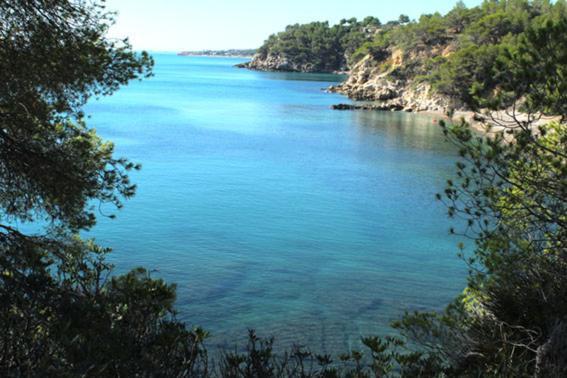 Casita De Pescadores Con Vista Al Puerto Lejlighed L'Ametlla de Mar Eksteriør billede